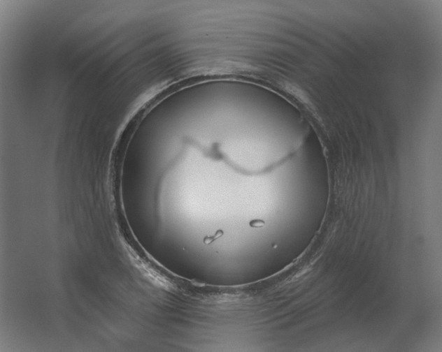 X0000062611122200601040932