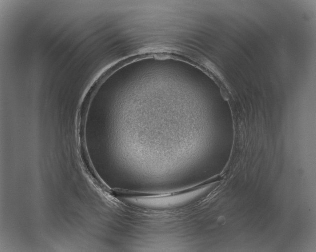 X0000062611124200601040932