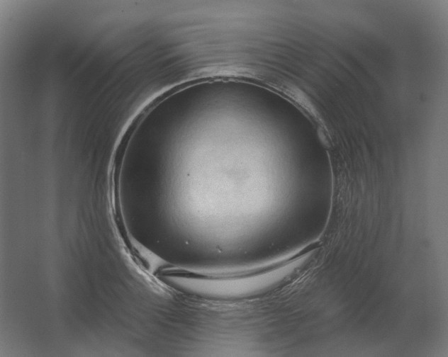 X0000062611132200601040932