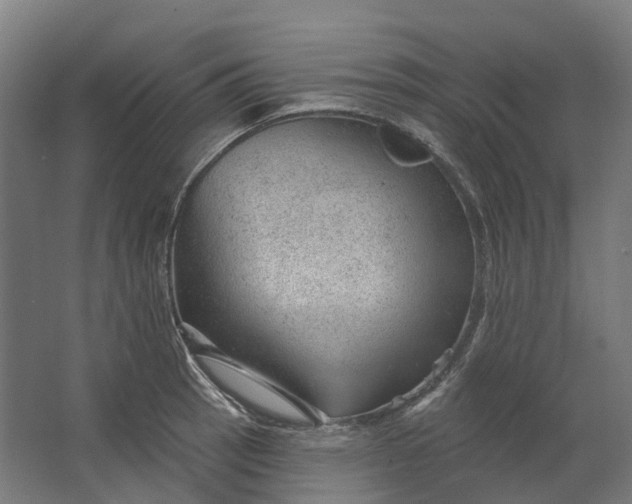 X0000062611137200601040932