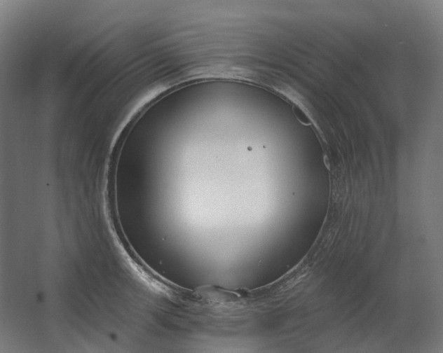 X0000062611139200601040932