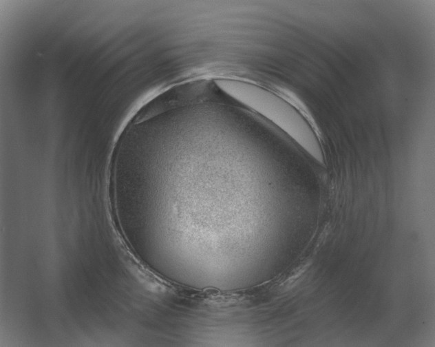 X0000062611146200601040932