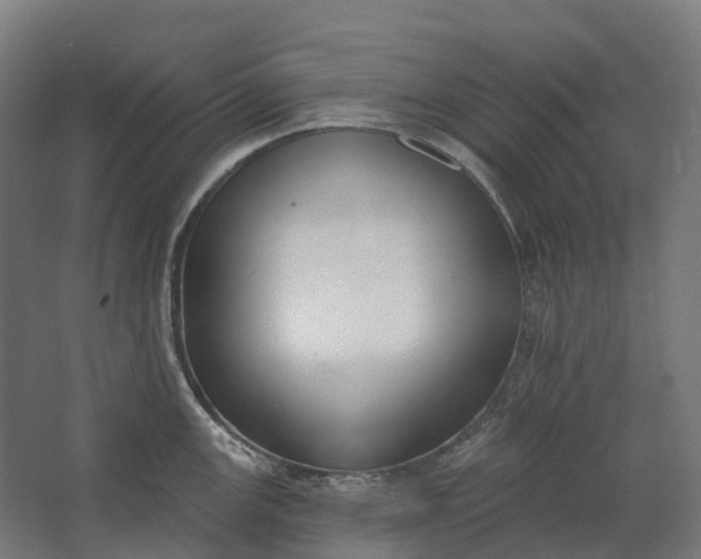 X0000062611147200601040932