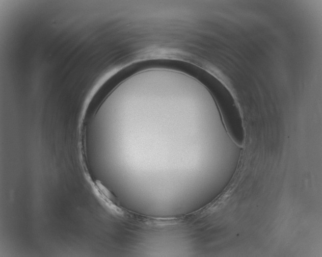 X0000062611152200601040933