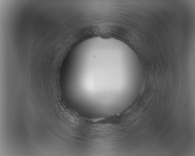 X0000062611153200601040932