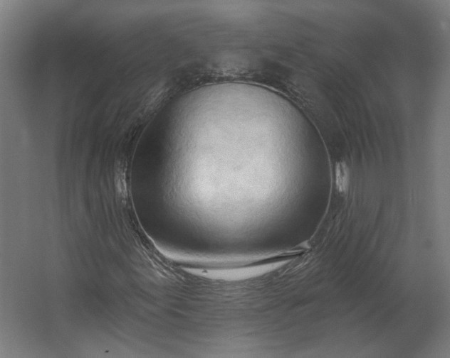 X0000062611155200601040932