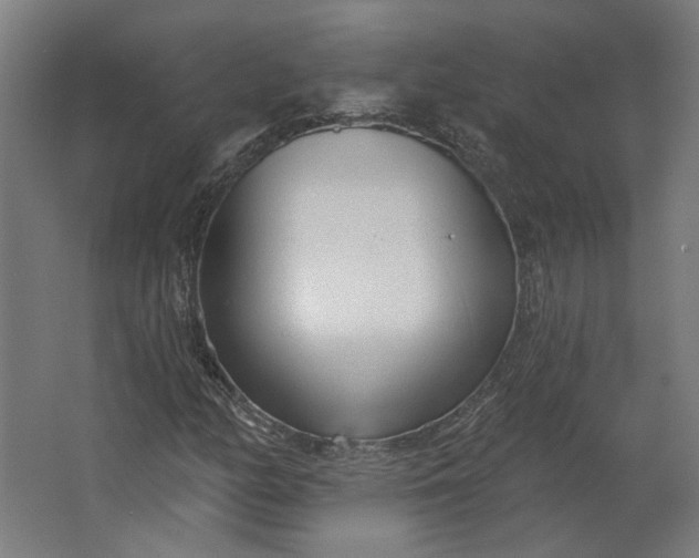 X0000062611158200601040932