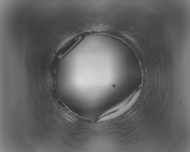 X0000062611160200601040932