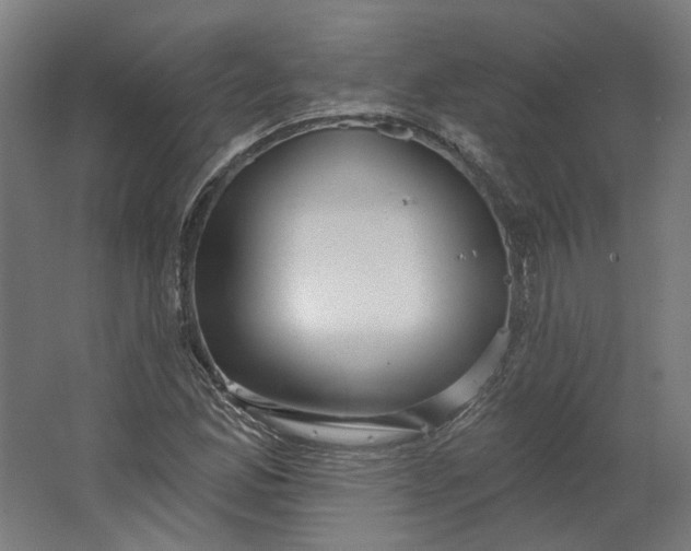 X0000062611165200601040932