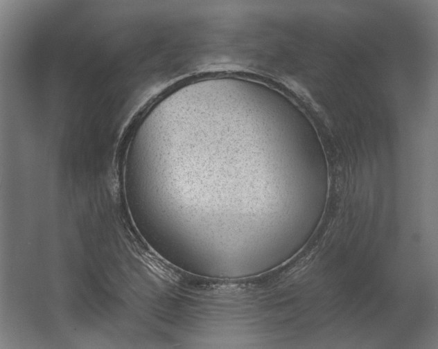 X0000062611167200601040931