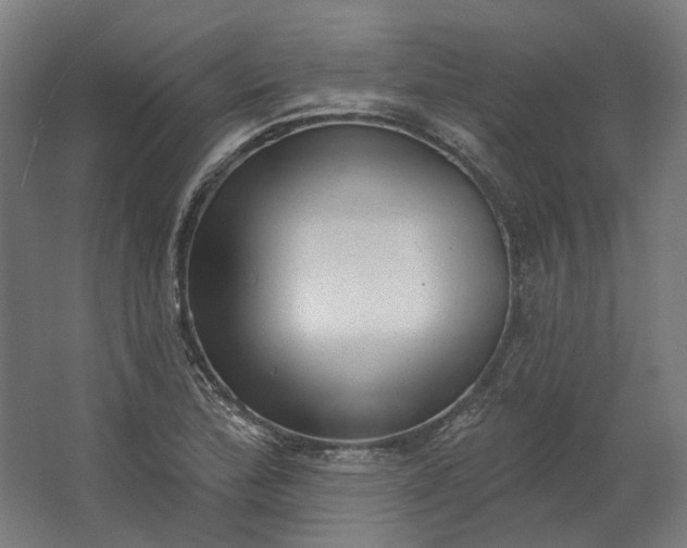 X0000062611172200601040931