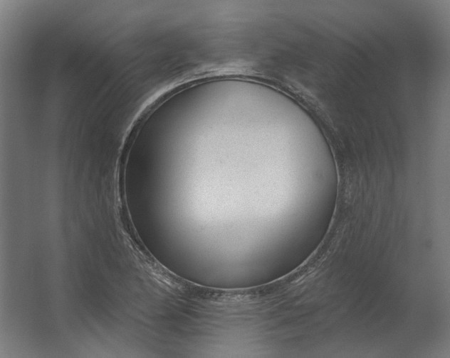 X0000062611174200601040931