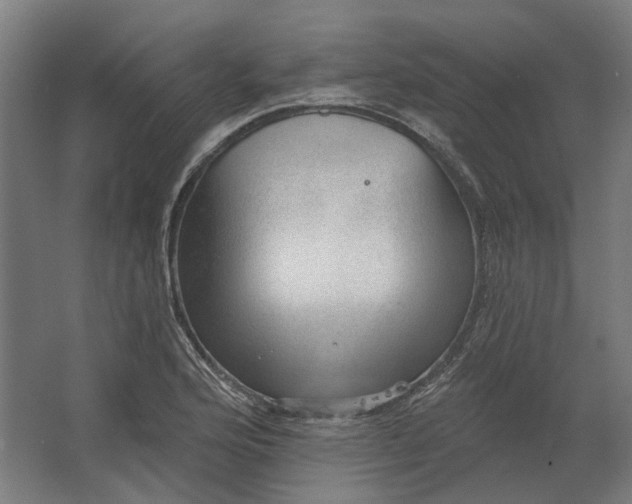 X0000062611176200601040931