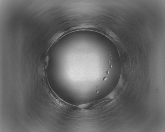 X0000062611177200601040931