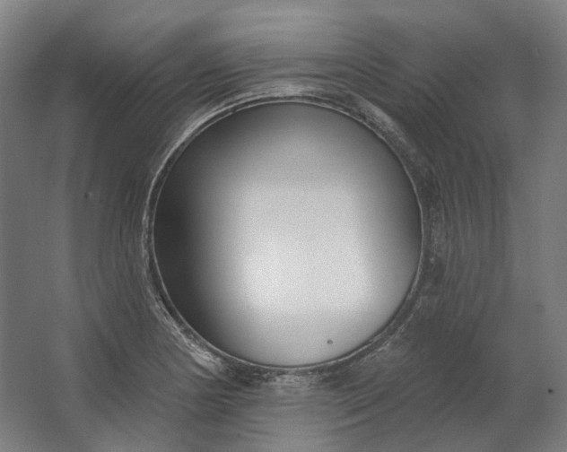 X0000062611178200601040931