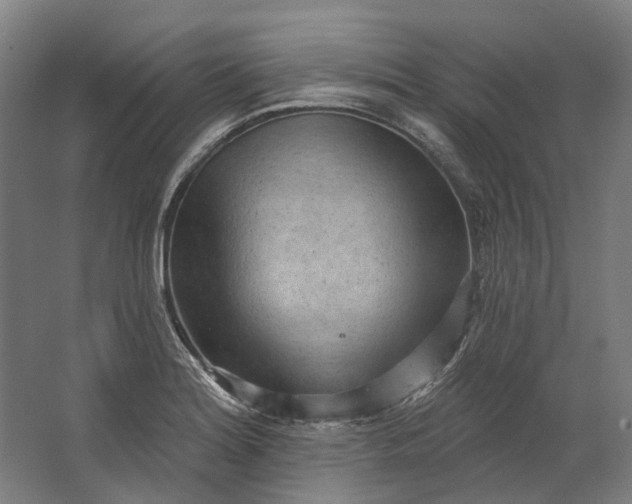 X0000062611180200601040931