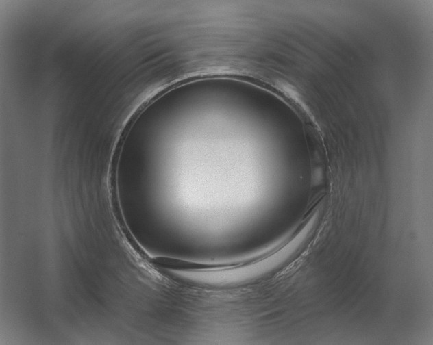 X0000062611181200601040931