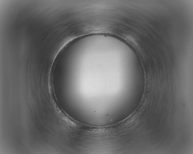 X0000062611182200601040931