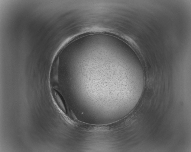 X0000062611183200601040931