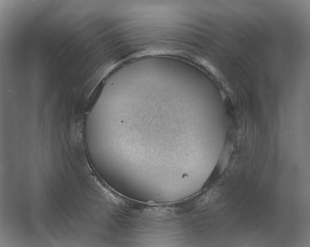 X0000062611185200601040931