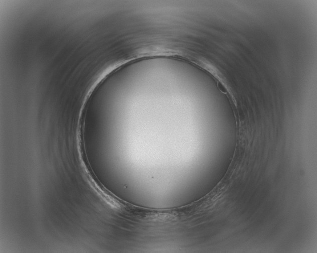 X0000062611187200601040931