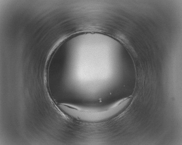 X0000062611188200601040931