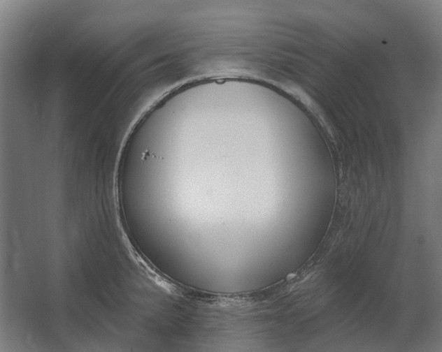 X0000062611191200601040931