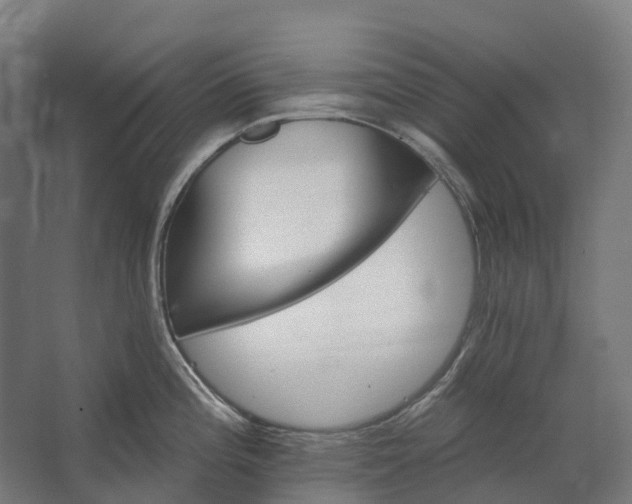 X0000062611196200601040931