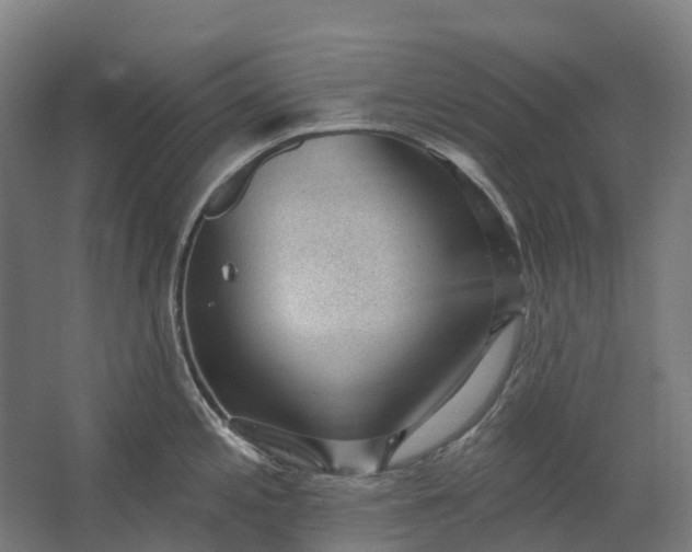 X0000062611197200601040931