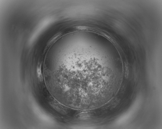 X0000062611198200601040931