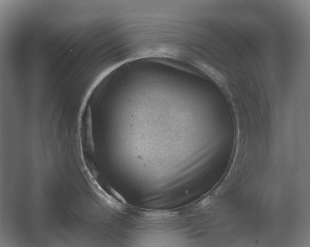 X0000062611200200601040931