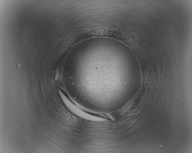 X0000062611202200601040930