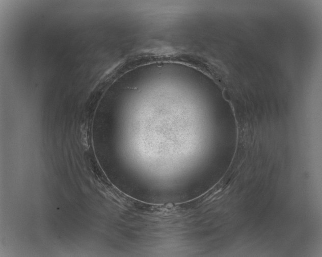 X0000062611205200601040930