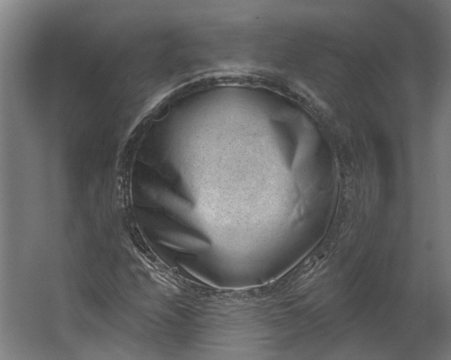 X0000062611208200601040930