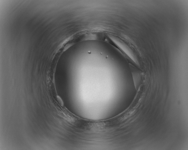 X0000062611210200601040930