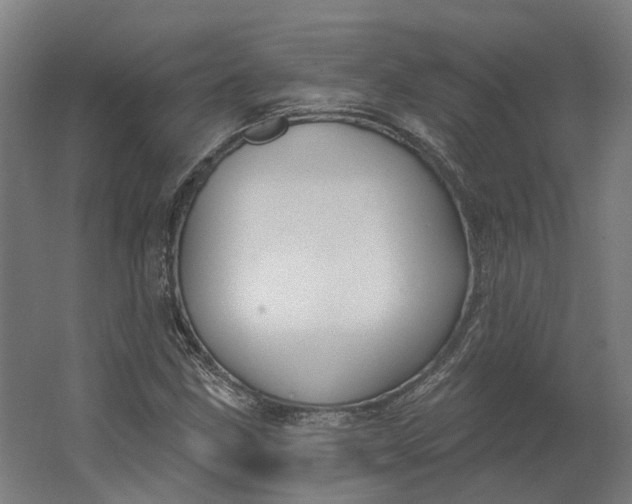 X0000062611211200601040930