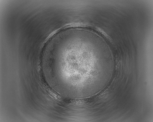 X0000062611213200601040930