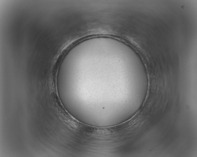 X0000062611215200601040930