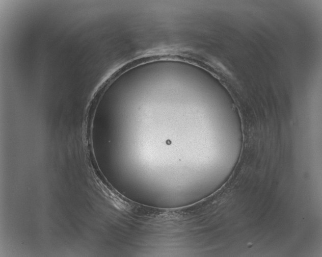 X0000062611216200601040930