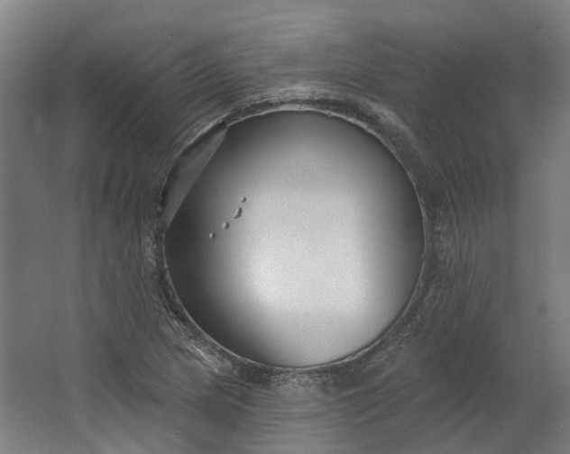 X0000062611217200601040930