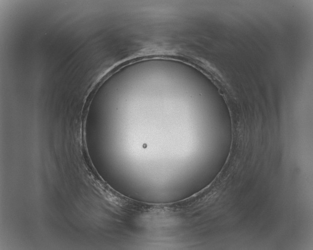 X0000062611220200601040930