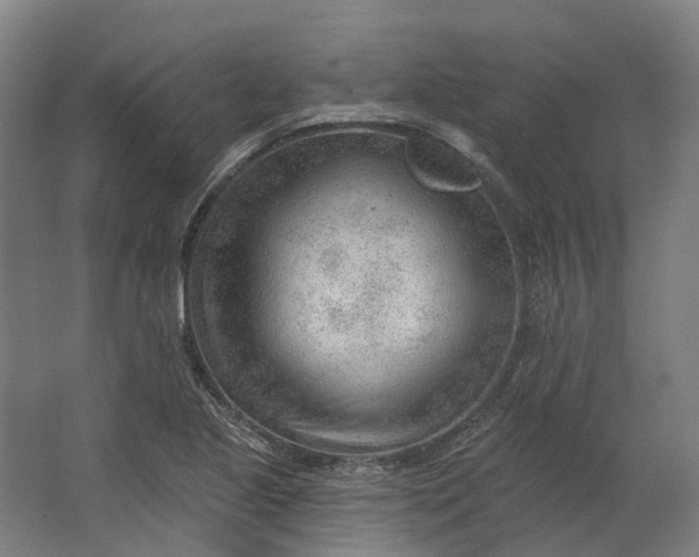 X0000062611221200601040930