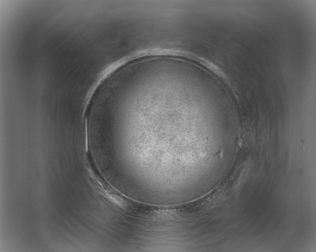 X0000062611223200601040931