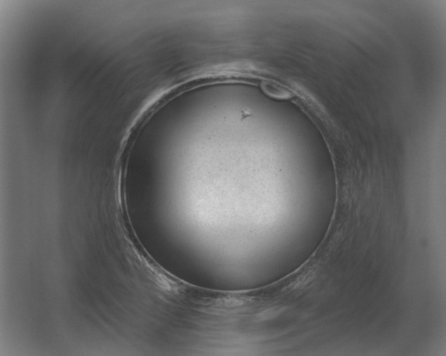 X0000062611224200601040931