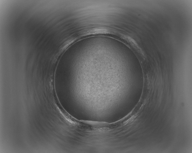 X0000062611225200601040931