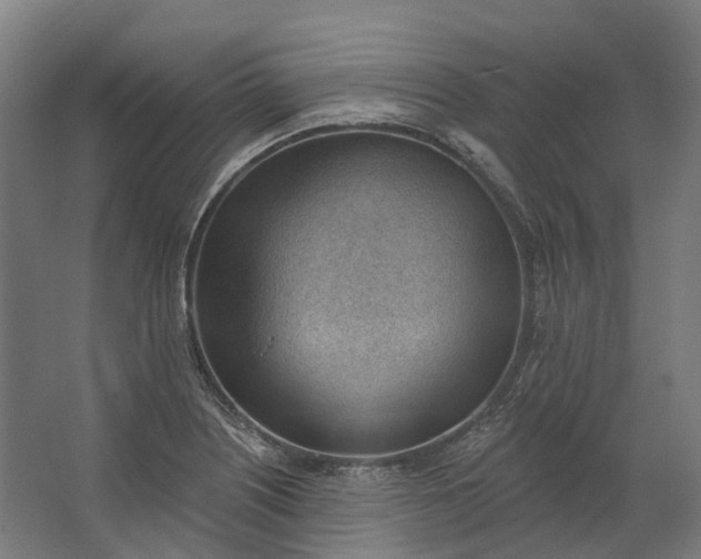 X0000062611226200601040931