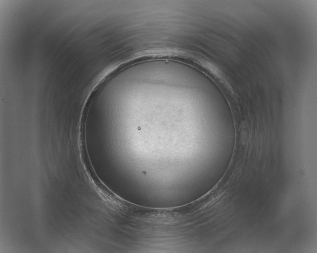 X0000062611229200601040931