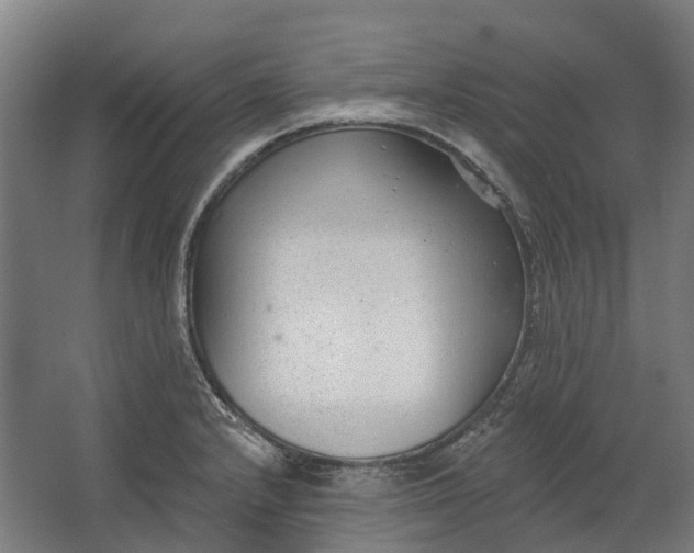 X0000062611232200601040931