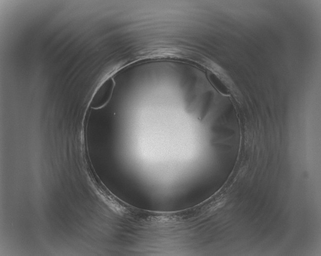 X0000062611234200601040931