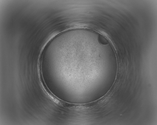 X0000062611235200601040931